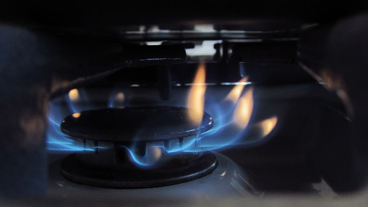 Blue gas flames burning evenly around a stove burner