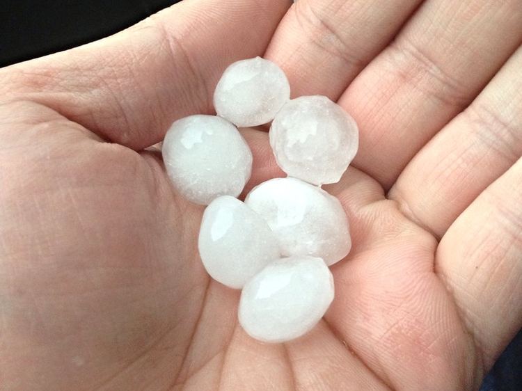 A palm holding six hailstones, each about the size of a large marble