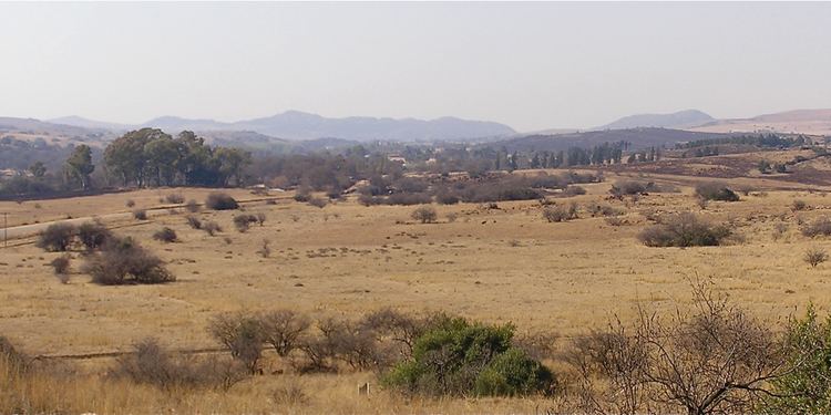 Dry Highveld grassland with scattered bushes and low hills on the horizon
